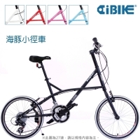  DOLPHIN - 20 inch 24 spd city cruiser bicycle